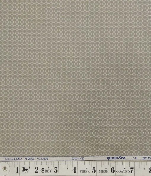 Raymond Pistachious Medium Grey 100% Giza Cotton 2 Ply Dobby Shirt Fabric (1.60 M)