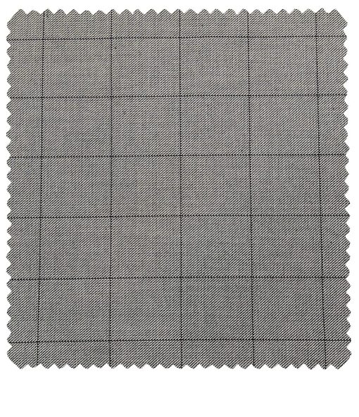 Raymond Men's Poly Viscose Unstitched Structured Cum Black Checks Suiting Fabric (Light Grey)