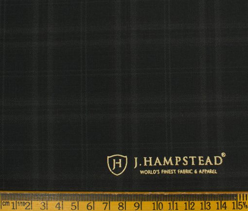 J.Hampstead Men's Terry Rayon (71 + 29) Checks 3.75 Meter Unstitched Suiting Fabric (Black)