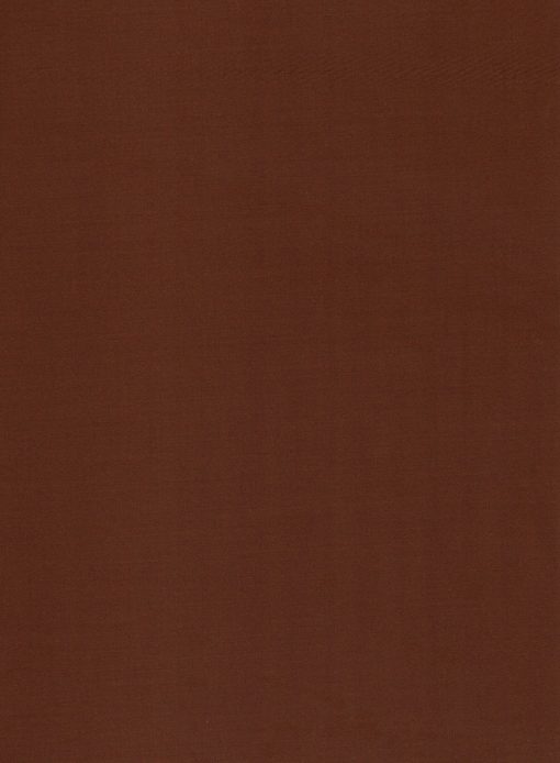 EMEF Men's Terry Rayon Solids 3.75 Meter Unstitched Suiting Fabric (Cinmon Brown)