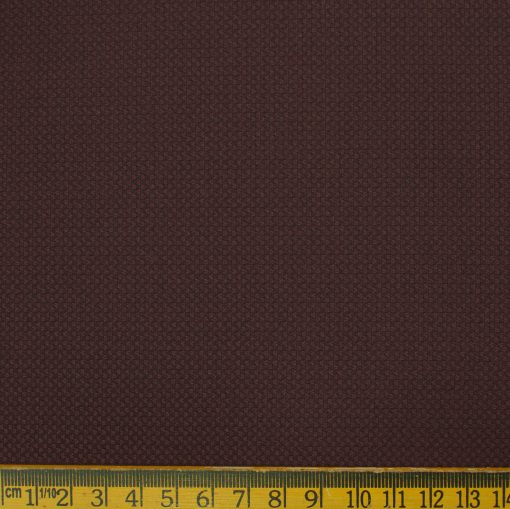 Don & Julio Men's Terry Rayon Structured 3.75 Meter Unstitched Suiting Fabric (Wine)