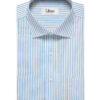 Raymond Men's Premium Cotton Striped  Unstitched Shirting Fabric (White & Sky Blue)