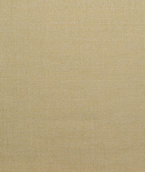 Italian Channel Men's Terry Rayon  Self Design  Unstitched Suiting Fabric (Beige) - Image 7